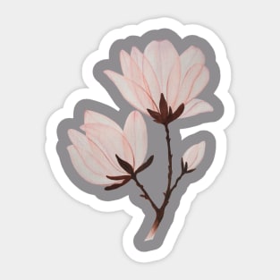 Magnolia Sticker